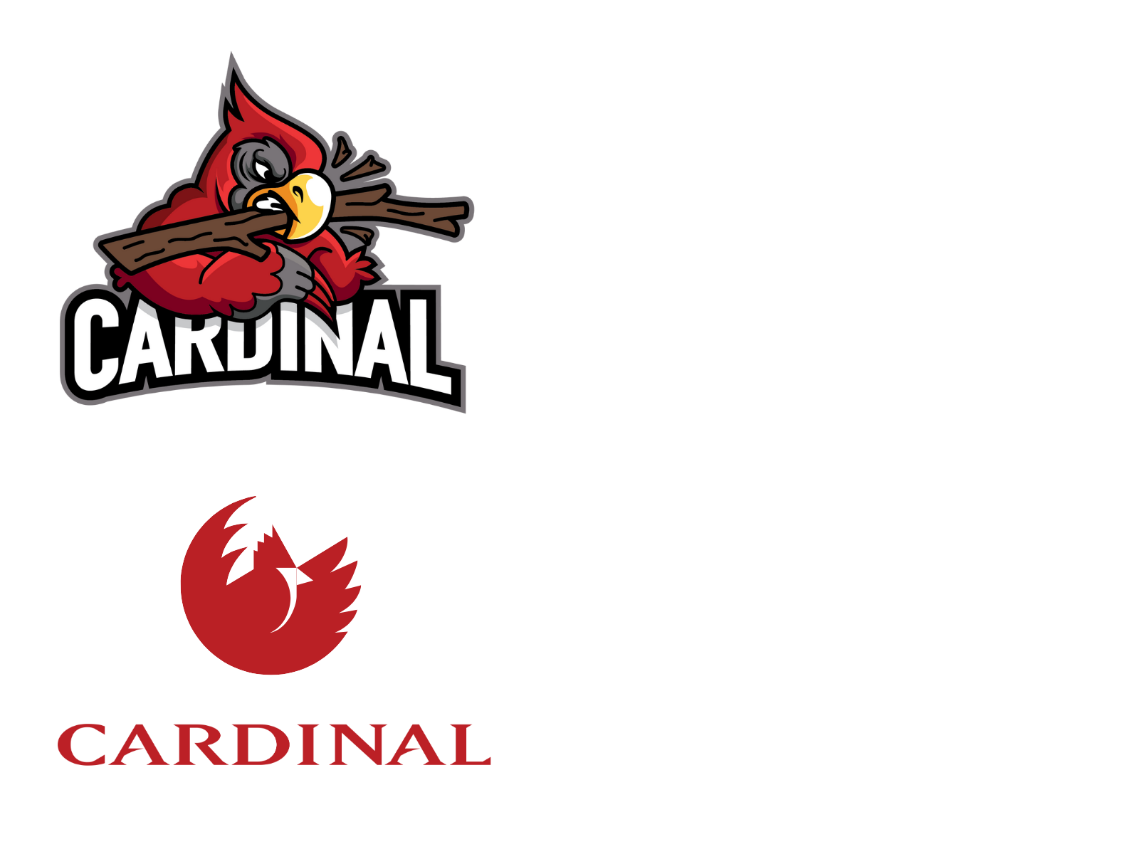 Welcome to Cardinal Equipment
